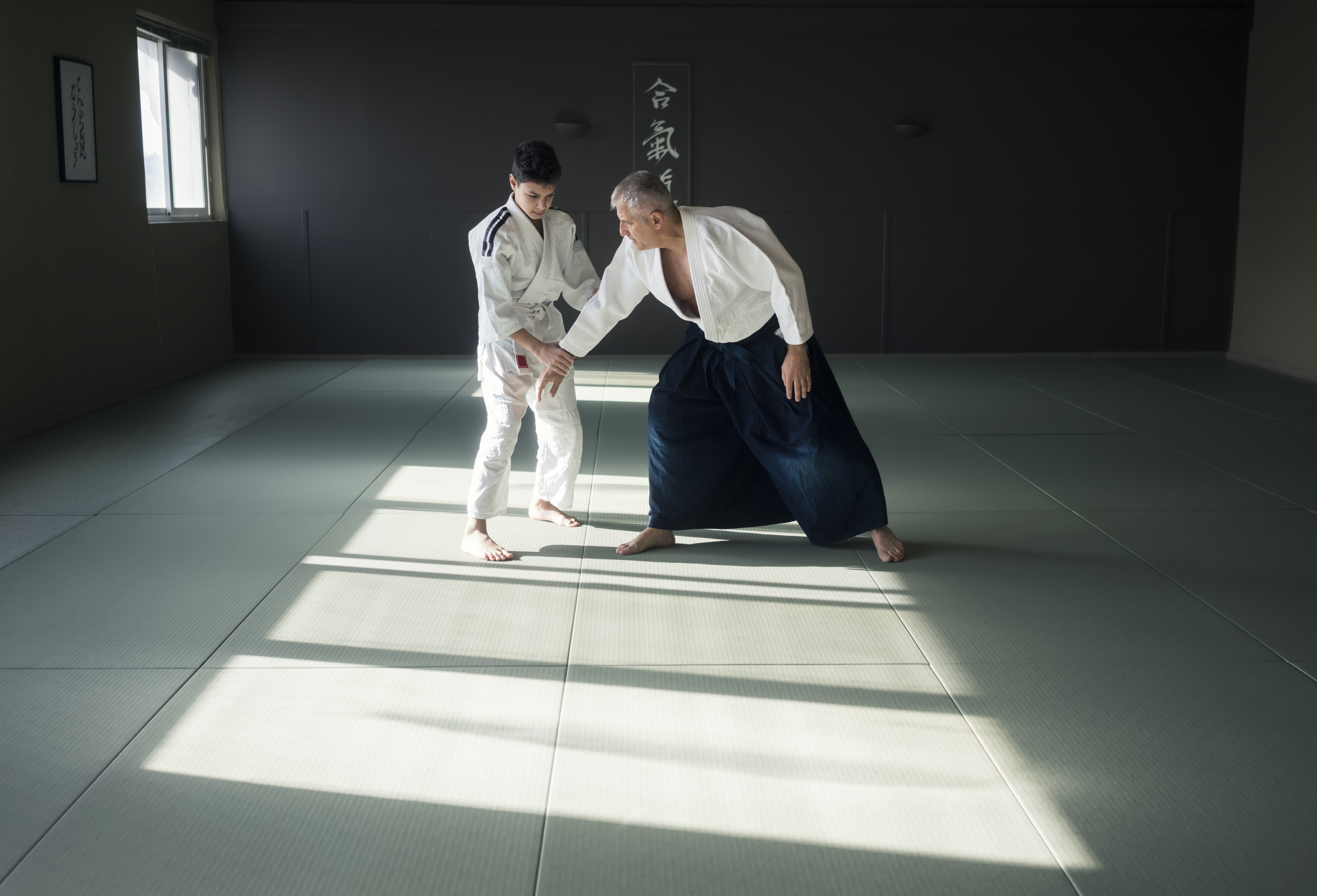 The Aikido Approach to Digital Transformation